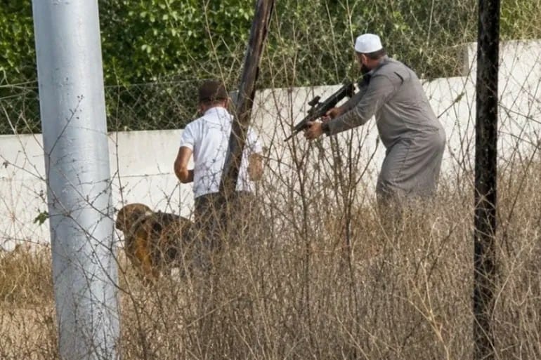 موقع بريطاني: مقاومة قرية تل تُفشل نظرية إخضاع الفلسطينيين